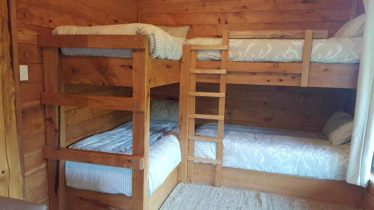 Rustic Hut Bush Retreat Bed & Breakfast Penguin Cameră foto